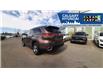 2019 Toyota Highlander Limited (Stk: N405980B) in Calgary - Image 4 of 24
