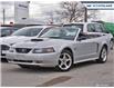 2003 Ford Mustang GT (Stk: 21MU023A) in Newmarket - Image 6 of 27