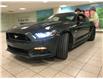 2016 Ford Mustang  (Stk: 6239) in Calgary - Image 2 of 11