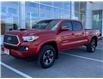 2019 Toyota Tacoma SR5 V6 (Stk: CY028A) in Cobourg - Image 1 of 25