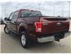 2015 Ford F-150 XLT (Stk: 37941A) in Edmonton - Image 5 of 28