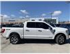 2021 Ford F-150 Platinum (Stk: 22T176A) in Midland - Image 3 of 29