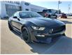 2019 Ford Shelby GT350 Base (Stk: F0441A) in Prince Albert - Image 3 of 13