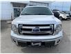 2014 Ford F-150  (Stk: 4101A) in Matane - Image 2 of 12