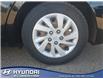 2017 Hyundai Elantra LE (Stk: 20615A) in Edmonton - Image 10 of 20