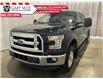 2016 Ford F-150 XLT (Stk: F212788A) in Lacombe - Image 1 of 21