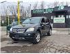 2006 Mercedes-Benz M-Class Base (Stk: 5717) in Mississauga - Image 30 of 30