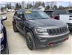 2017 Jeep Grand Cherokee Trailhawk (Stk: M0864A) in Shannon - Image 3 of 7