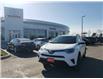 2017 Toyota RAV4 LE (Stk: 220344A) in Whitchurch-Stouffville - Image 3 of 19