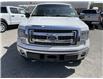 2014 Ford F-150 XLT (Stk: 1009AXZ) in Barrie - Image 18 of 27