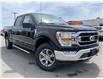 2022 Ford F-150 XLT (Stk: 22T320) in Midland - Image 1 of 24