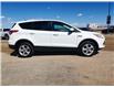 2013 Ford Escape SE (Stk: B96441) in Shellbrook - Image 4 of 19