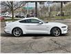 2021 Ford Mustang GT Premium (Stk: 161900) in Kitchener - Image 3 of 20