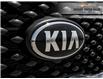 2017 Kia Sorento 2.4L LX (Stk: 142966AC) in Oshawa - Image 13 of 35
