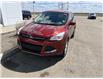 2016 Ford Escape SE (Stk: B11080) in Fort Saskatchewan - Image 4 of 30