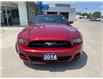 2014 Ford Mustang V6 Premium (Stk: 22055A) in Chatham - Image 3 of 15