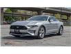 2019 Ford Mustang EcoBoost (Stk: DK438) in Vancouver - Image 1 of 15