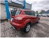 2013 Ford Escape SEL (Stk: 8451) in Québec - Image 6 of 26