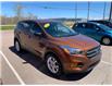 2017 Ford Escape SE (Stk: 2252A) in Sydney - Image 1 of 4