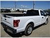 2017 Ford F-150 XL (Stk: B0003) in Prince Albert - Image 4 of 15