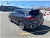 2019 Kia Sorento 3.3L SXL (Stk: G491372) in Antigonish - Image 3 of 18