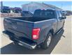 2017 Ford F-150  (Stk: B44923A) in Antigonish - Image 5 of 14