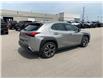 2021 Lexus UX 250h Base (Stk: GB4015) in Chatham - Image 5 of 24
