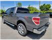 2014 Ford F-150 XLT (Stk: 211286AA) in Whitby - Image 3 of 8