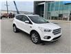 2018 Ford Escape  (Stk: UM2907) in Chatham - Image 3 of 25
