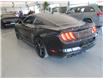 2021 Ford Mustang GT (Stk: N0481A) in Québec - Image 5 of 14