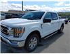 2022 Ford F-150 XLT (Stk: 22T065) in Quesnel - Image 7 of 14