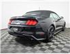 2019 Ford Mustang EcoBoost (Stk: 221148B) in Moncton - Image 5 of 28