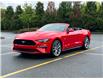 2022 Ford Mustang GT Premium (Stk: 22MU0081) in Vancouver - Image 11 of 30