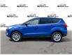 2019 Ford Escape SE Blue