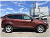 2018 Ford Escape SE (Stk: F0009) in Wilkie - Image 13 of 21