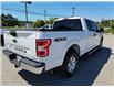 2020 Ford F-150  (Stk: M208A) in Miramichi - Image 5 of 13