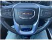 2019 GMC Sierra 1500 Elevation (Stk: 30439A) in The Pas - Image 14 of 18