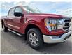 2022 Ford F-150 XLT (Stk: 22T2967) in Pincher Creek - Image 8 of 22