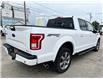2016 Ford F-150 XLT (Stk: 22046A) in Wilkie - Image 23 of 24