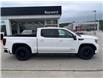 2020 GMC Sierra 1500 Elevation (Stk: PM21026) in Owen Sound - Image 3 of 15