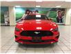 2018 Ford Mustang  (Stk: 220362B) in Calgary - Image 11 of 11