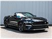 2019 Ford Mustang GT Premium (Stk: B22-282A) in Cowansville - Image 41 of 41