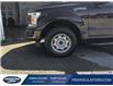 2019 Ford F-150 Lariat (Stk: 22FE126A) in Owen Sound - Image 6 of 25
