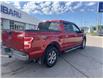 2020 Ford F-150 XLT (Stk: P1313A) in Newmarket - Image 6 of 17