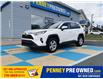 2019 Toyota RAV4 XLE (Stk: P4418A) in Mount Pearl - Image 1 of 18