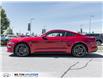 2019 Ford Mustang EcoBoost (Stk: 173075) in Milton - Image 3 of 22