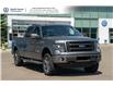 2013 Ford F-150  (Stk: 20239A) in Calgary - Image 1 of 43
