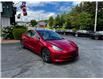2020 Tesla Model 3 Standard Range Plus (Stk: 11360) in Lower Sackville - Image 8 of 11