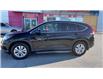 2014 Honda CR-V EX-L - Leather Seats -  Sunroof (Stk: EH108717) in Sarnia - Image 5 of 25
