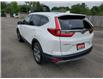 2019 Honda CR-V EX (Stk: U7182) in Welland - Image 3 of 20